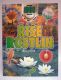 �͊E ROSTLIN
